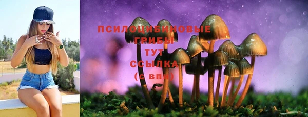 МДМА Инсар