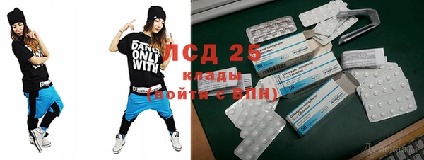 сатива Каменногорск