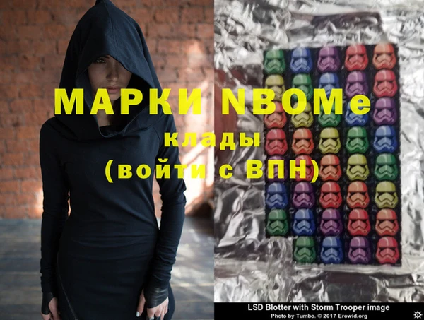 прущие грибы Каменка