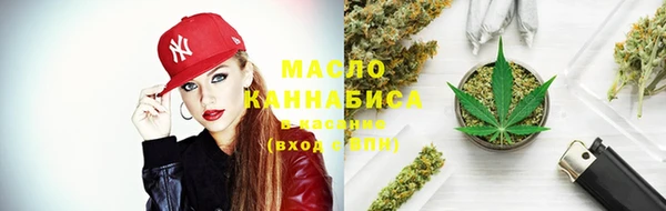 гидропоника Иннополис