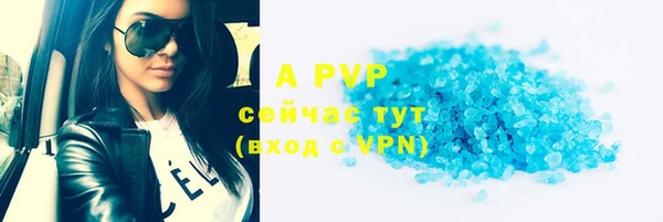 гидропоника Иннополис