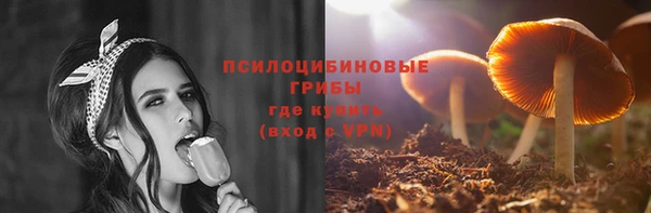 сатива Инта