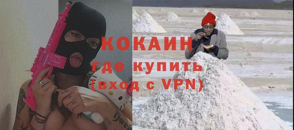 сатива Инта