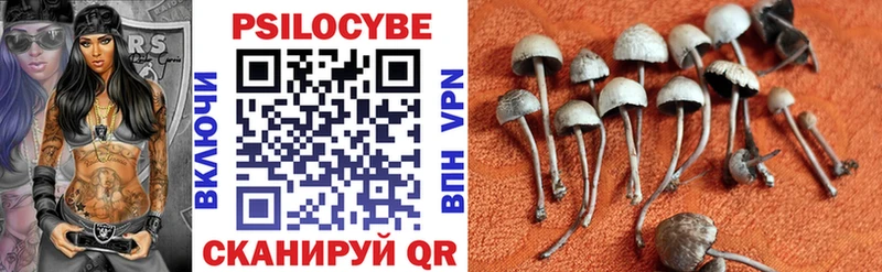 Галлюциногенные грибы прущие грибы  Кашира 